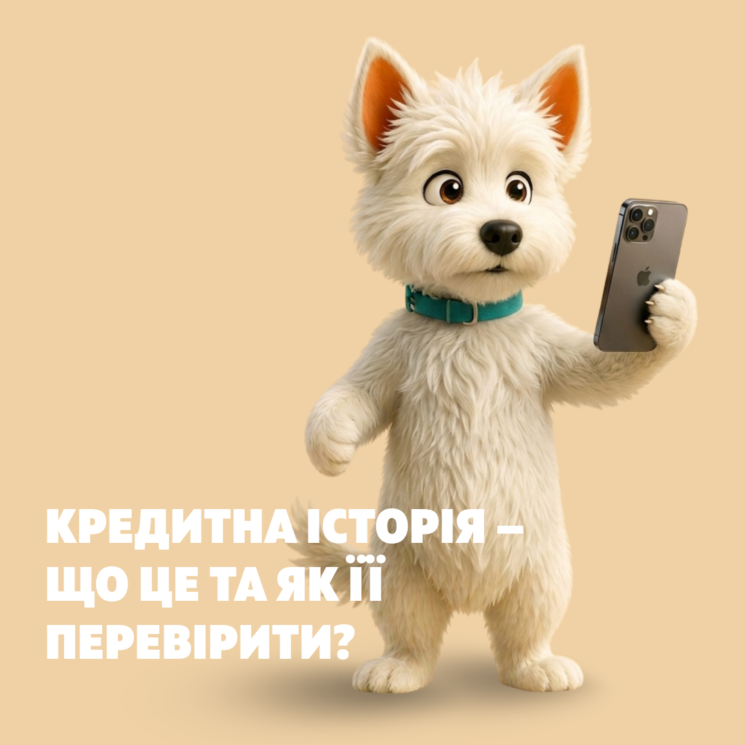 Кредитна історія: що впливає на вашу кредитну історію та як перевірити її стан?