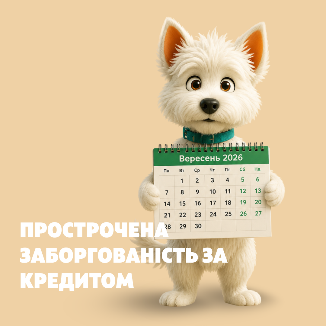 Прострочена заборгованість та наслідки несвоєчасної оплати кредиту