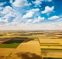 OTP Bank issued a first investment loan for the purchase of agricultural land