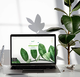 Payroll management with online tax payment: new module now available in Click OTPay for legal entities