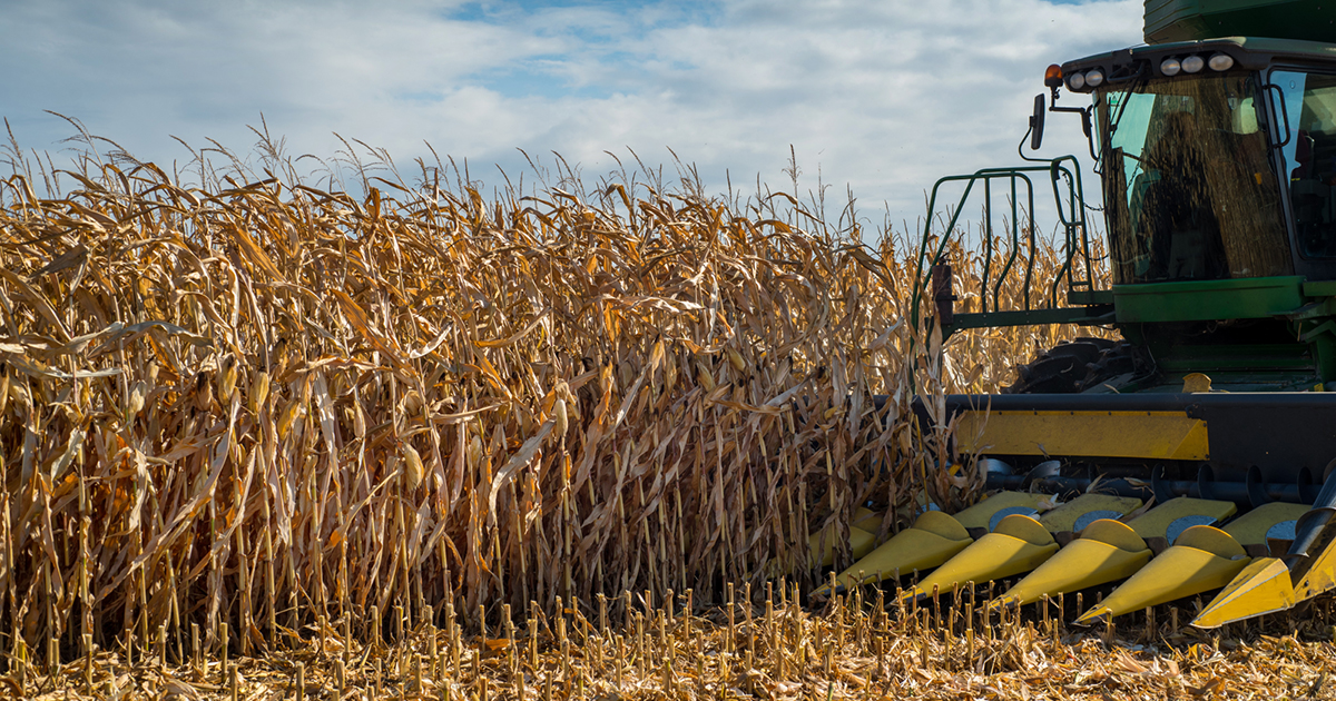 Agrarians are increasing their interest in lending secured by agrarian receipts – I. Yerko