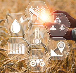 OTP BANK supports the international conference “Effective Management of Agribusiness Companies”