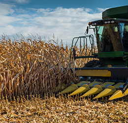 Agrarians are increasing their interest in lending secured by agrarian receipts – I. Yerko