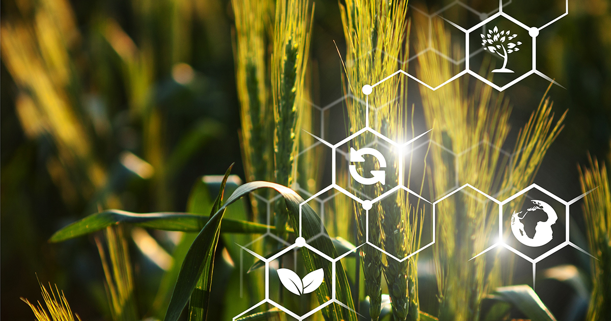 OTP BANK will support the annual “Agronomist of the Year” award honoring the best industry professionals