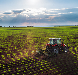 Replenishment of working capital and investment financing: OTP BANK programs for the agricultural sector in 2025