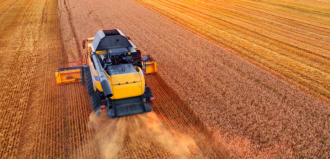 Financing of agriclients in OTP BANK exceeded indicators that were before full-scale war