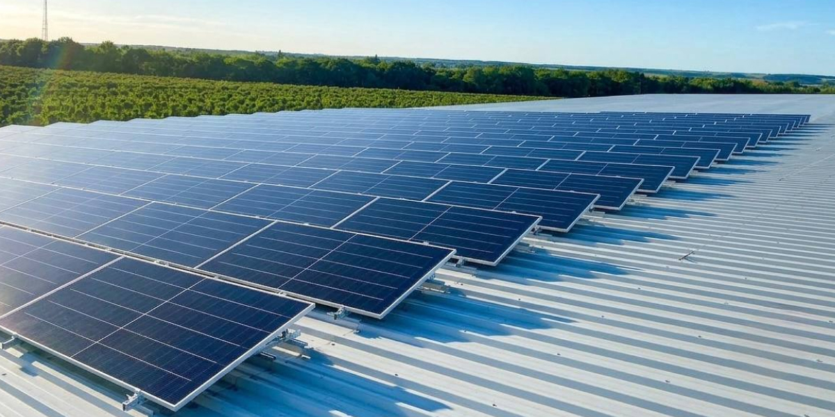 Businesses can obtain a loan for solar power plants at an annual rate starting from 0.01% through a partnership between OTP Bank and Freedom Energy Ukraine