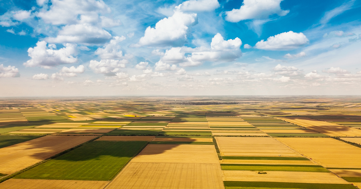 OTP Bank issued a first investment loan for the purchase of agricultural land