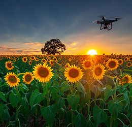 OTP Bank has started financing farmers for the purchase of drones