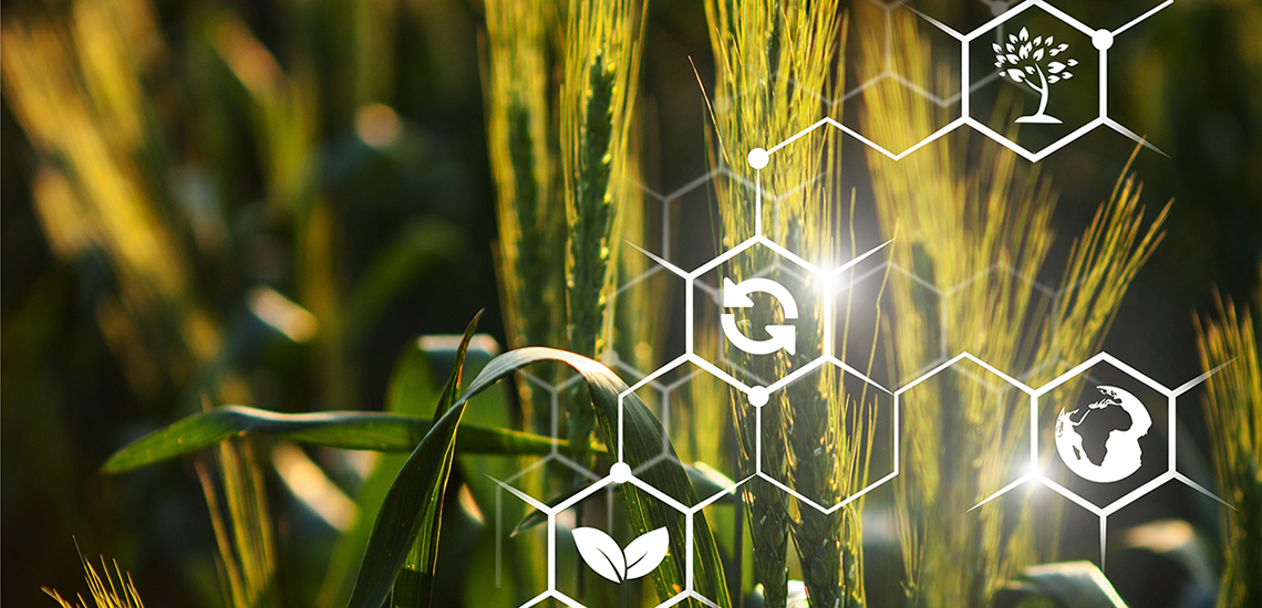 OTP BANK will support the annual “Agronomist of the Year” award honoring the best industry professionals