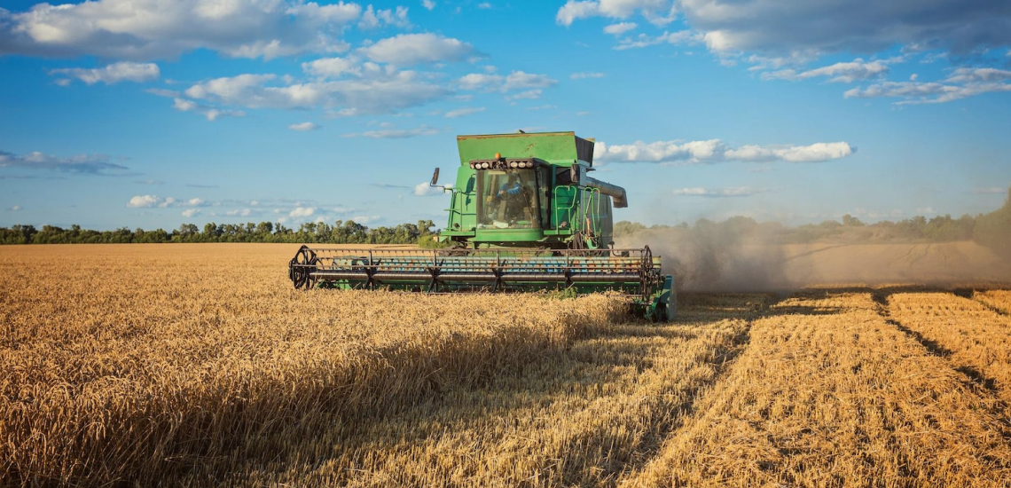 OTP Bank provides UAH 2.3 billion in financing to small and medium-sized agribusinesses since the beginning of the year