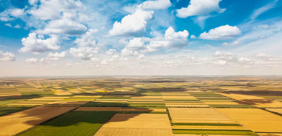 OTP Bank issued a first investment loan for the purchase of agricultural land