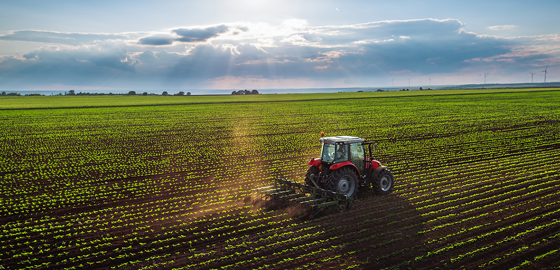 Replenishment of working capital and investment financing: OTP BANK programs for the agricultural sector in 2025