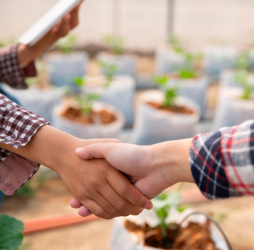 OTP BANK becomes a partner of the “Crop Production 2026” conference within the Grain Storage Forum