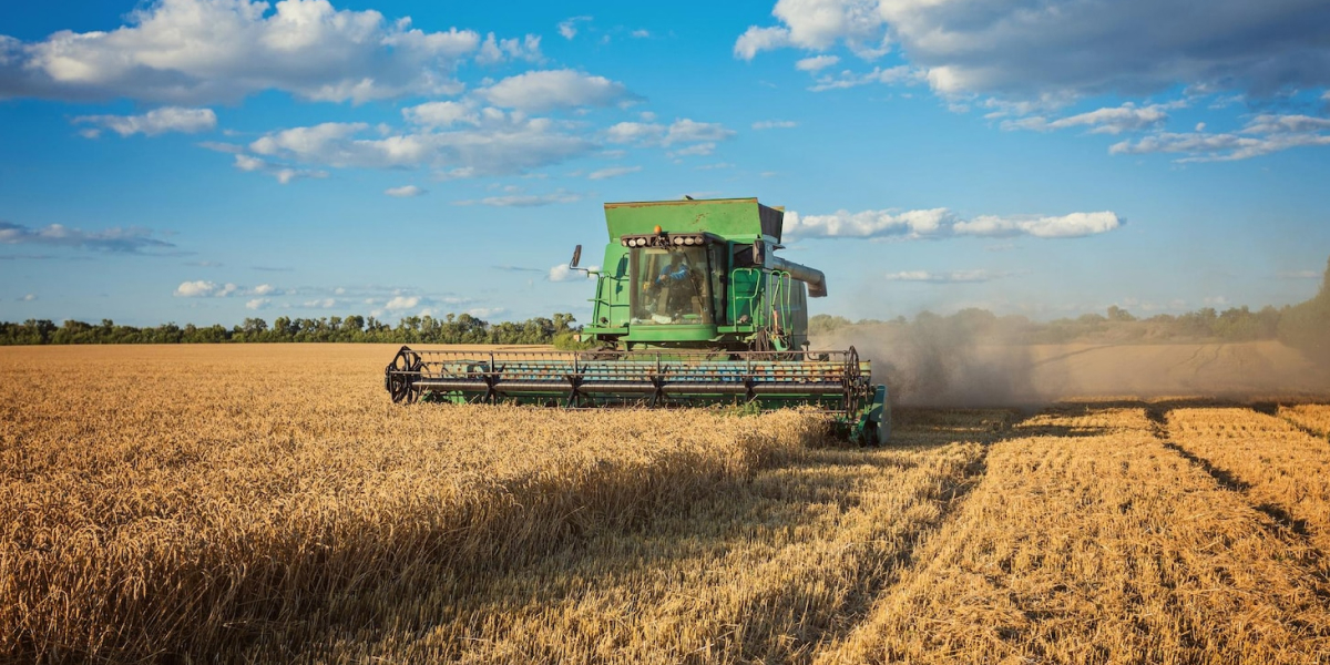 OTP Bank provides UAH 2.3 billion in financing to small and medium-sized agribusinesses since the beginning of the year