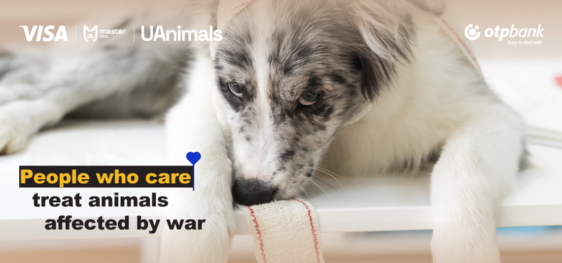 Let's save the lives of animals together!