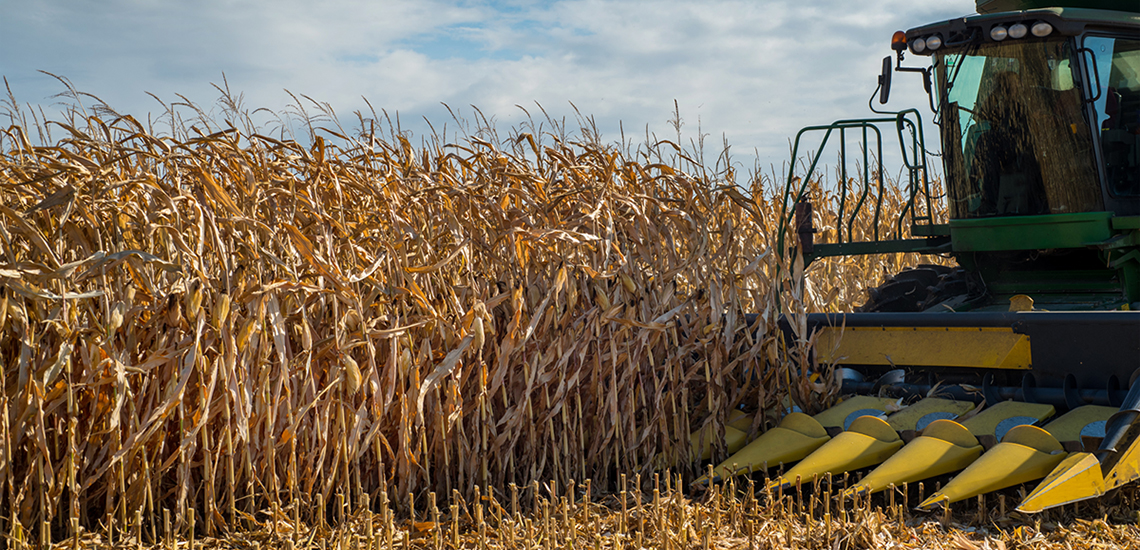 Agrarians are increasing their interest in lending secured by agrarian receipts – I. Yerko