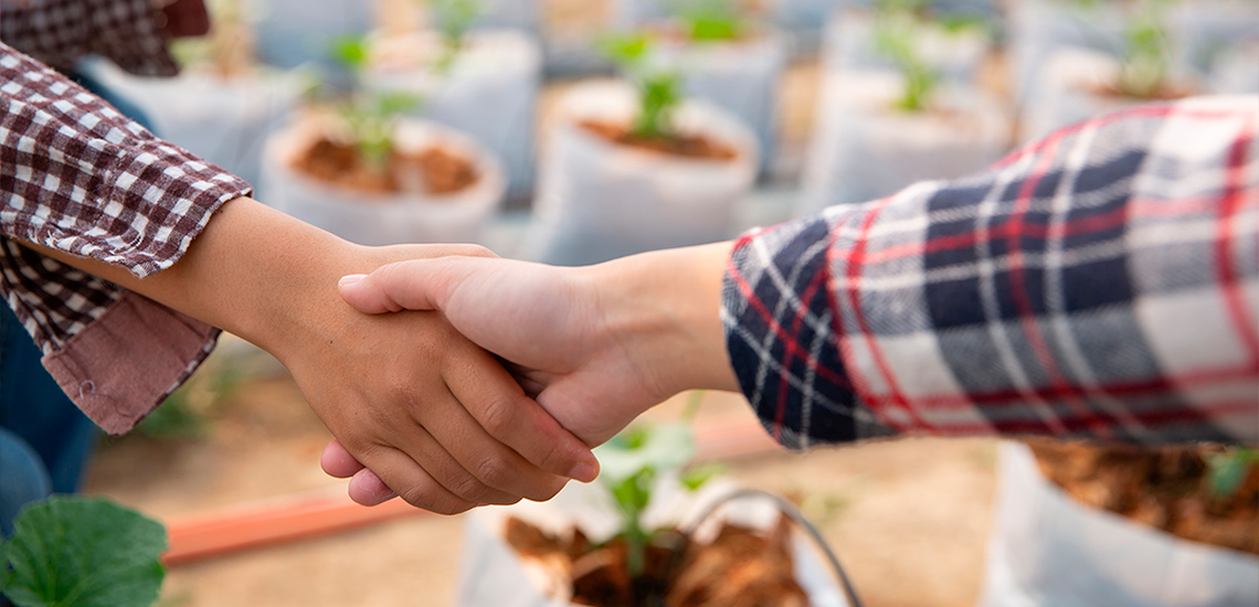 OTP BANK becomes a partner of the “Crop Production 2026” conference within the Grain Storage Forum