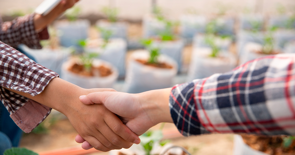 OTP BANK becomes a partner of the “Crop Production 2026” conference within the Grain Storage Forum