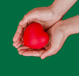 OTP BANK donated more than UAH 46 million to charity in 2024