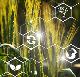 OTP BANK will support the annual “Agronomist of the Year” award honoring the best industry professionals