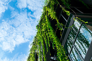 ESG Strategy